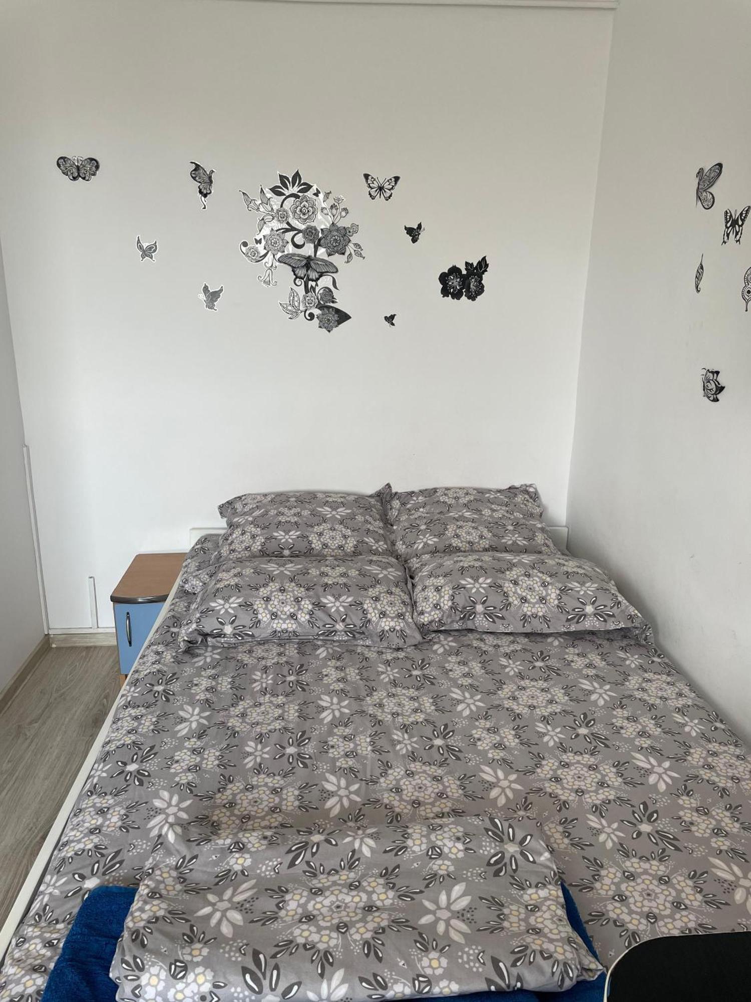 Studio Ianis Bucureşti Ngoại thất bức ảnh